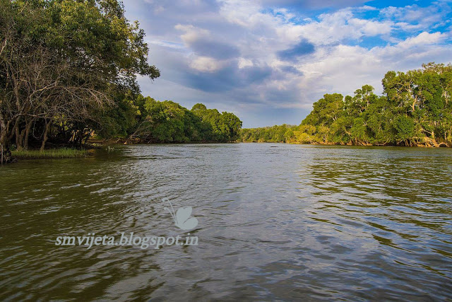 Kaveri river at Dubare , Coorg