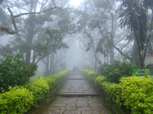 Towards the Hilltop, Nandi Hills