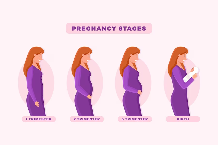 Second Trimester of Pregnancy: A Guide on 15 Exciting Changes You Can Expect